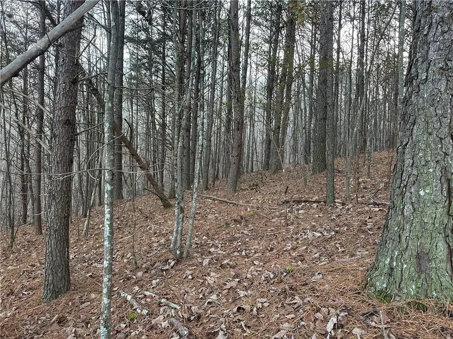 810 Bagwell Trail, Waleska, GA 30183 - Image #3