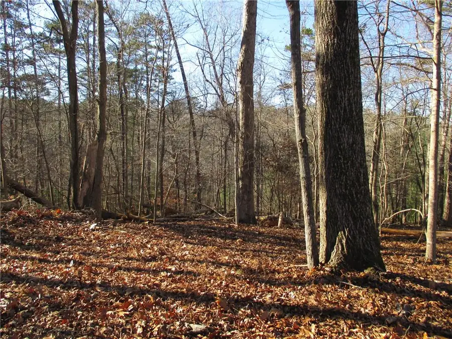 0 Huron Court, Ellijay, GA 30540 - Image #2