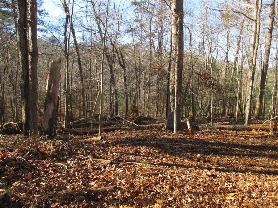 0 Huron Court, Ellijay, GA 30540 - Image #3