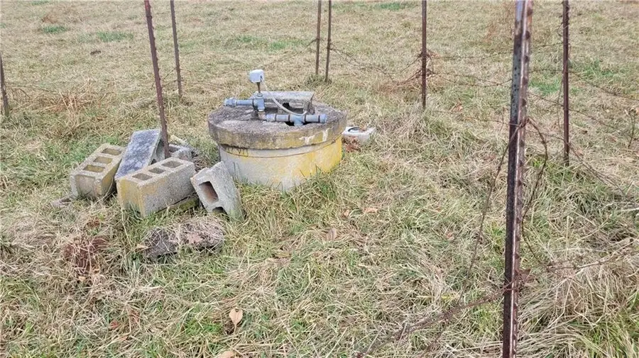 8065 Sandy Cross Road, Carnesville, GA 30521 - Image #3