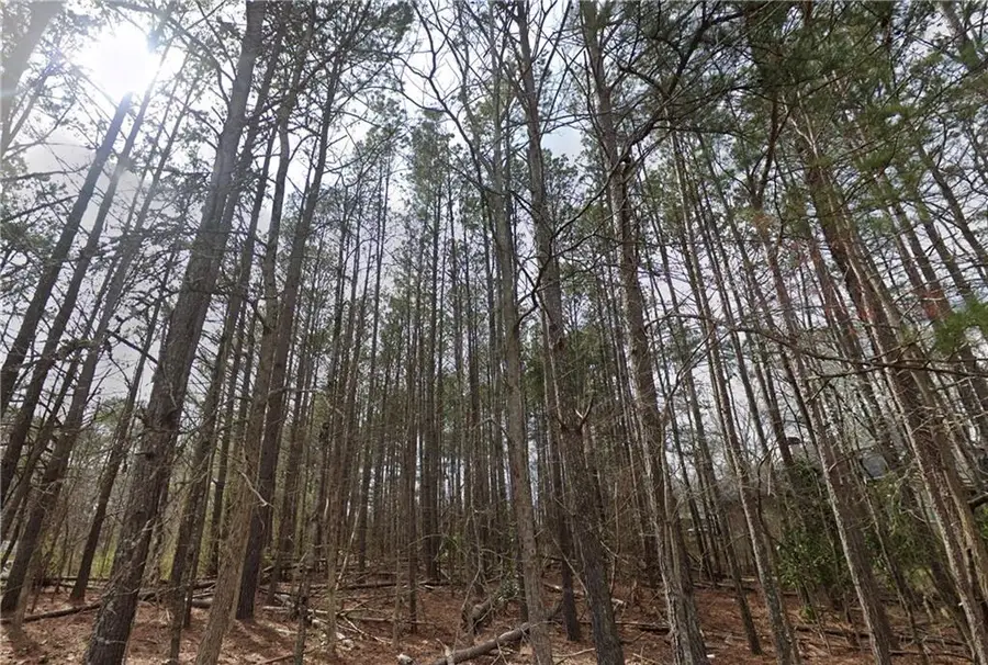 3805 Union Road Sw, Atlanta, GA 30349 - Image #3