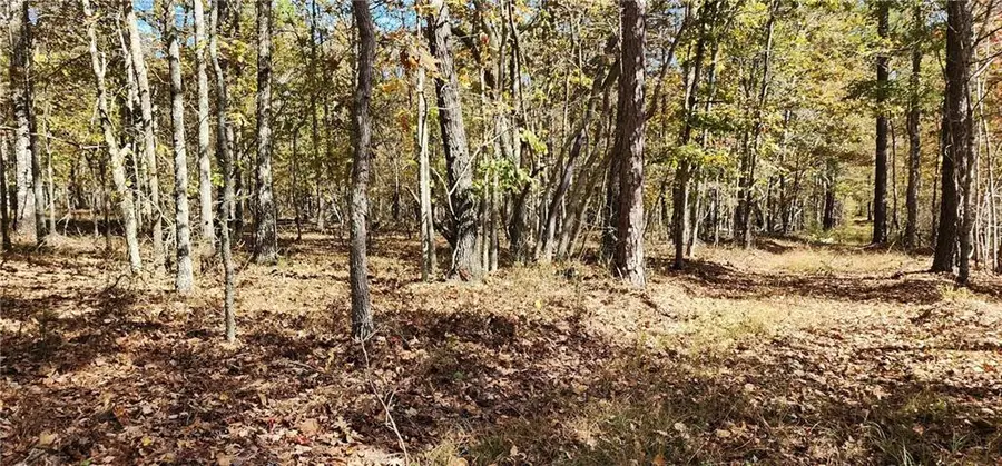 0 Hwy 411, Rome, GA 30161 - Image #2