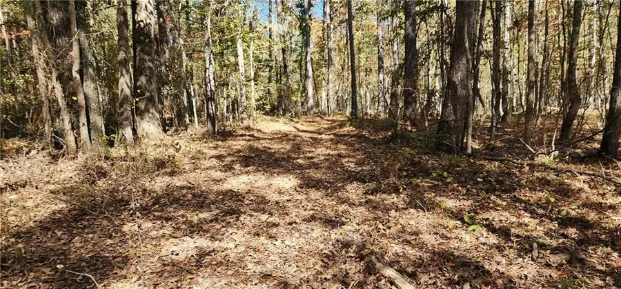 0 Hwy 411, Rome, GA 30161 - Image #3