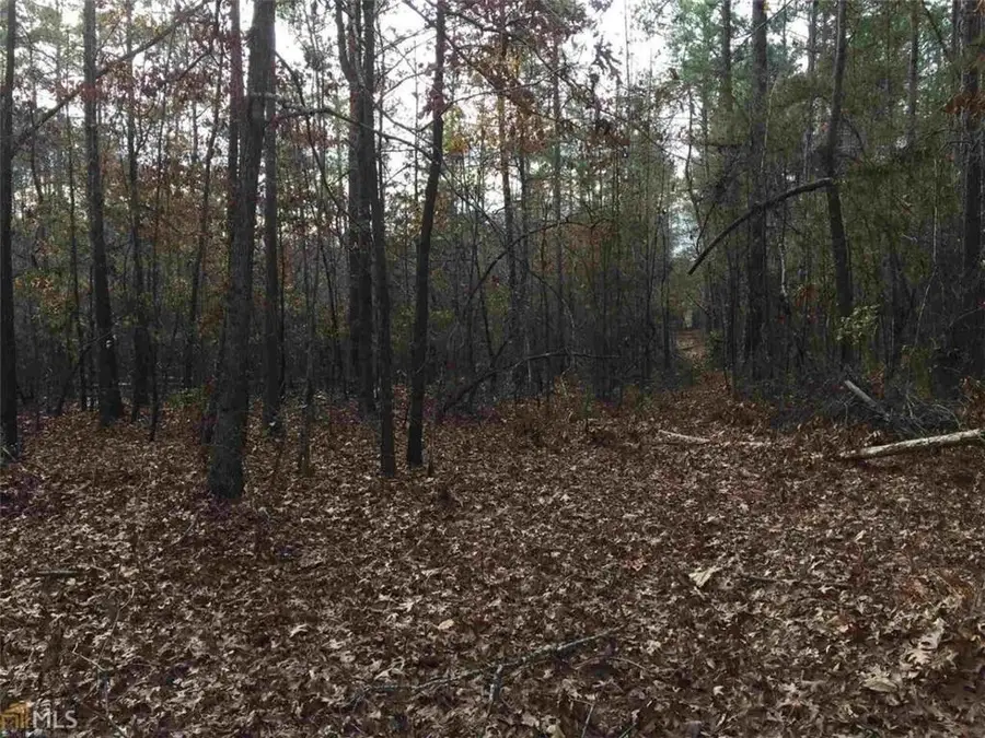 393 Stallsworth Road, McDonough, GA 30252 - #3