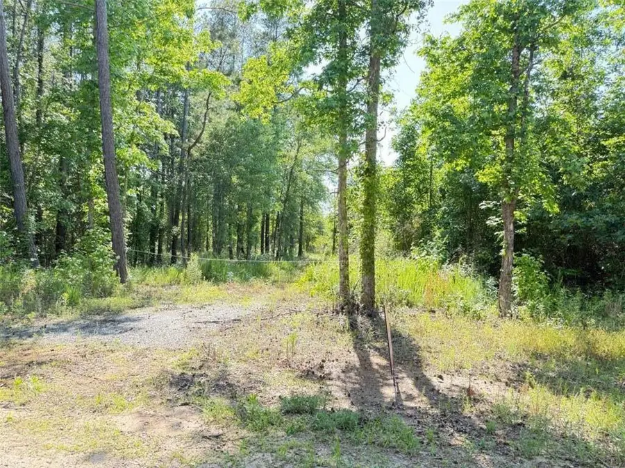 0 Perkins Road, Barnesville, GA 30204 - Image #3