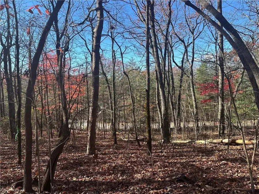 503 Saint Andrews Way, Ellijay, GA 30536 - Image #3