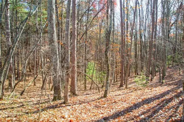 119 Waldrip Road, Dawsonville, GA 30536