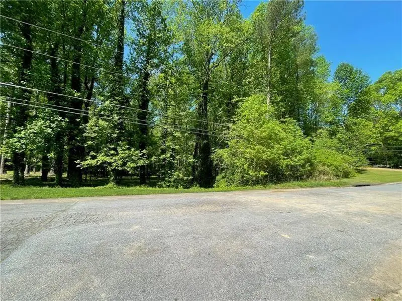 1389 Branchwood Drive, Snellville, GA 30078 - Image #2