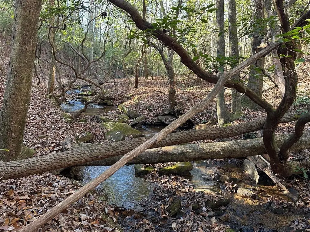 125 Patriot View Dr., Dahlonega, GA 30533 - Image #1