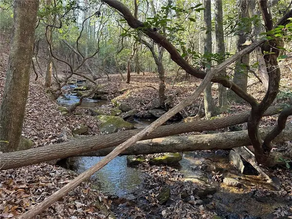 125 Patriot View Dr., Dahlonega, GA 30533