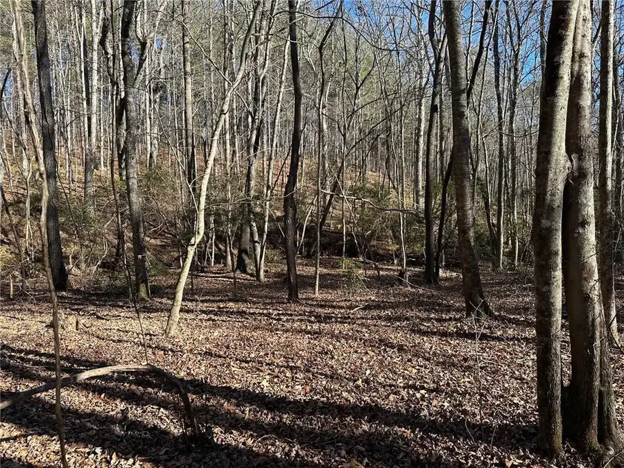 125 Patriot View Dr., Dahlonega, GA 30533 - Image #2