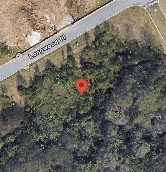 425 Longwood Place, Dallas, GA 30132 - Image #2