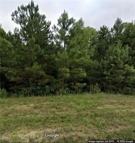 425 Longwood Place, Dallas, GA 30132 - Image #3