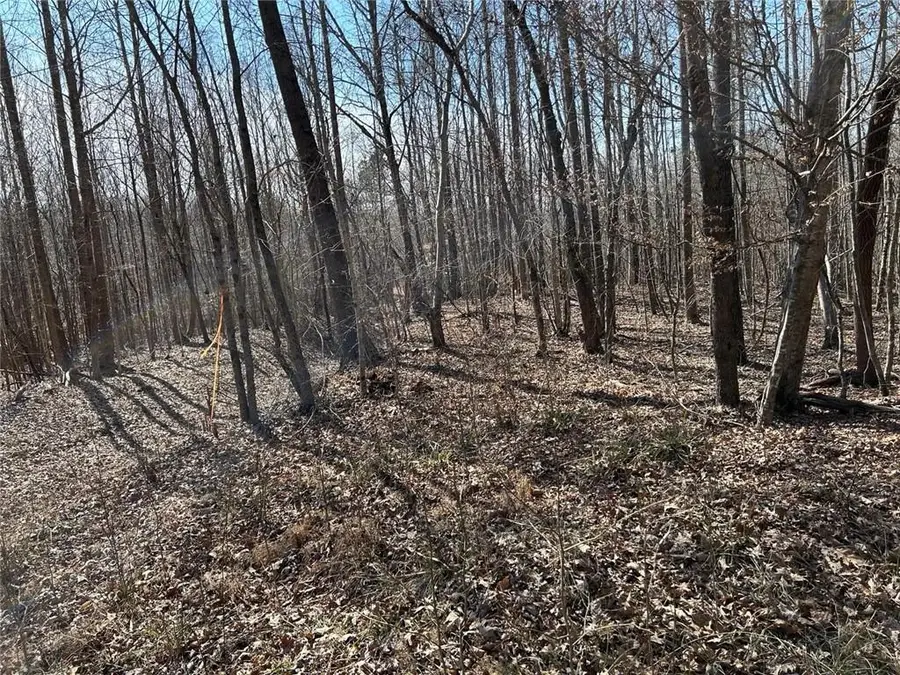 0 Mcdonald Circle, Commerce, GA 30529 - #3