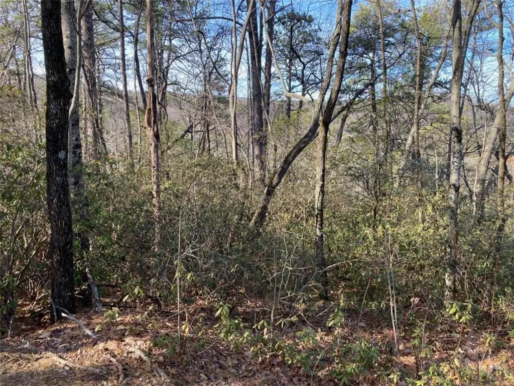 LOT 37 Whispering Dale Drive, Clarkesville, GA 30523 - #1