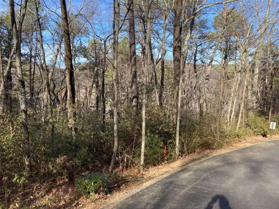 LOT 36 Whispering Dale Drive, Clarkesville, GA 30523 - #3