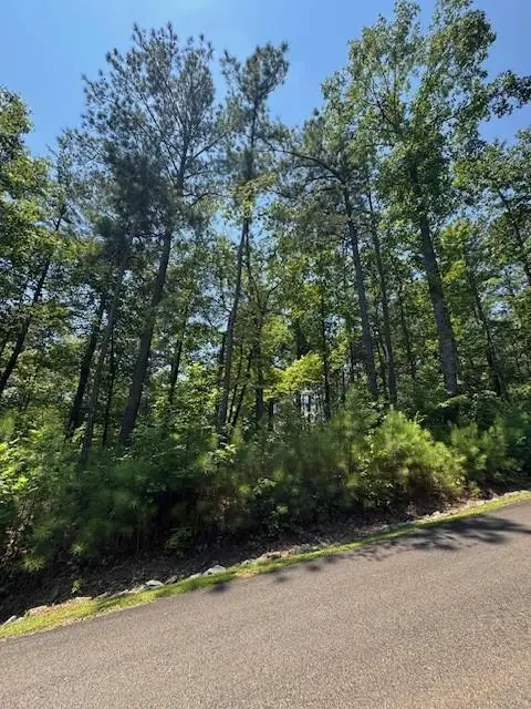 0 Carters View, Ellijay, GA 30540