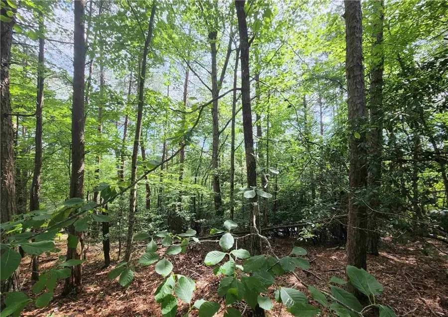 0 Rosen Strasse, Helen, GA 30545 - #2