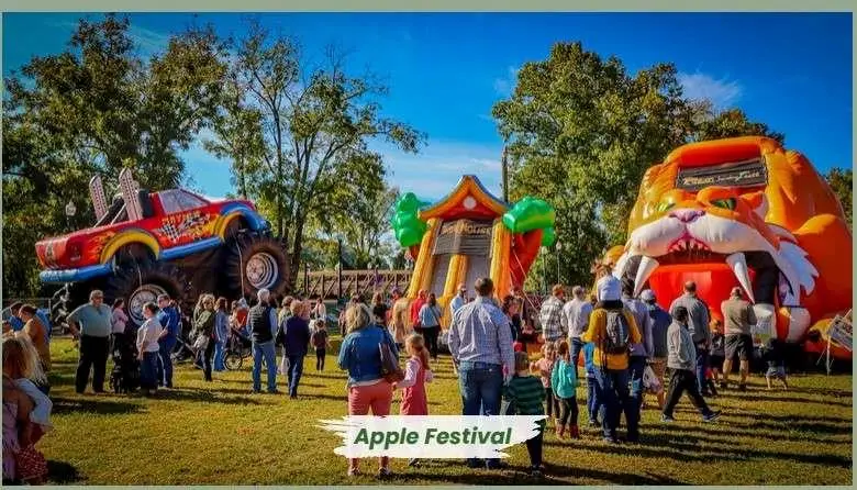 0 High River Road, Ellijay, GA 30540 - Image #2