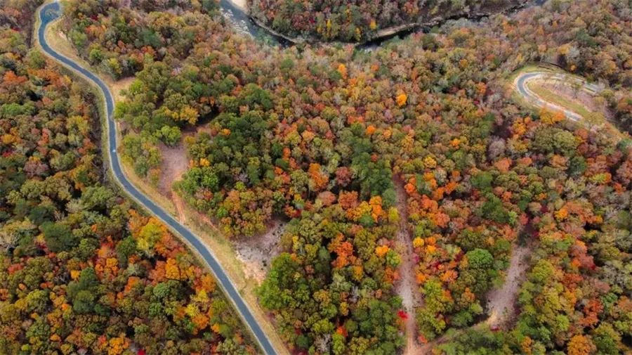 Lt 269 Canoe Way, Talking Rock, GA 30175 - Image #3