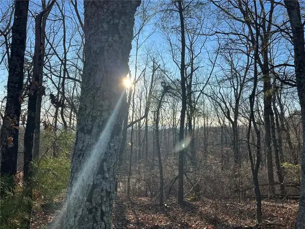 1171 Hunter Drive, Ranger, GA 30734