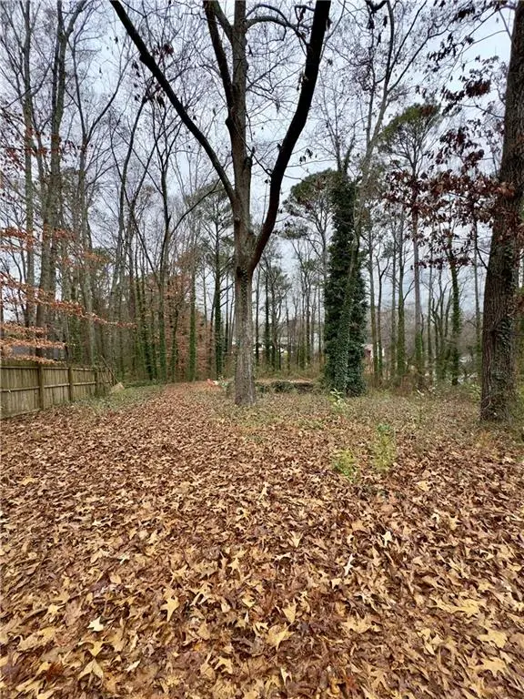 2152 Chestnut Place, Lithia Springs, GA 30122 - Image #3