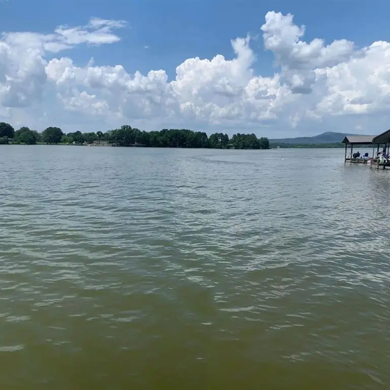 345 Cr 1036, Centre, AL 35959 - Image #3