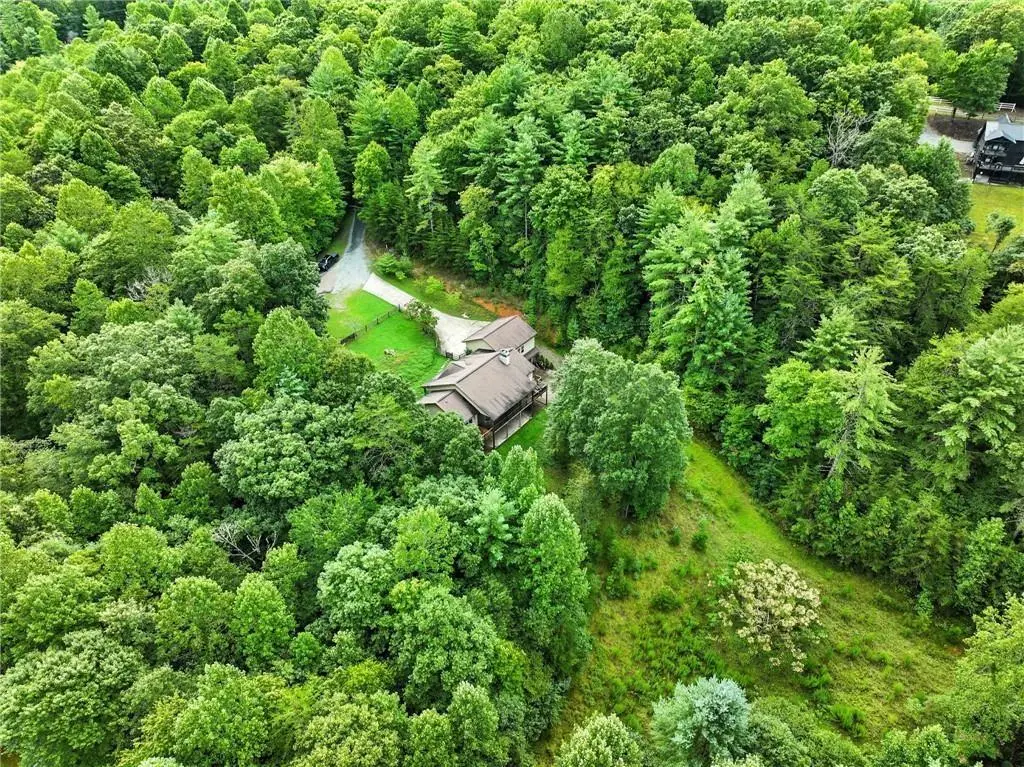 87 Dillons Lane, Morganton, GA 30560 - #1