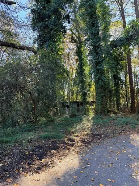 2320 Park Way Sw, Atlanta, GA 30315 - Image #2