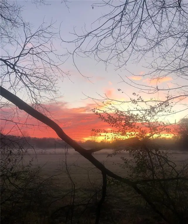 5370 Memphis Street, Cumming, GA 30040 - Image #3