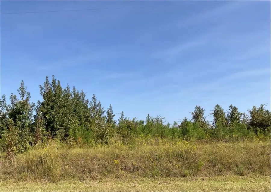 0 Old Balls Ferry Road, Toomsboro, GA 31090 - #2