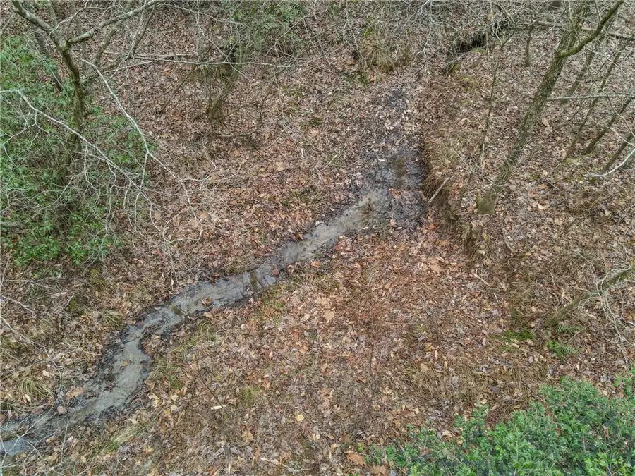 0 Bryant Creek Rd Road, Ellijay, GA 30540 - Image #2
