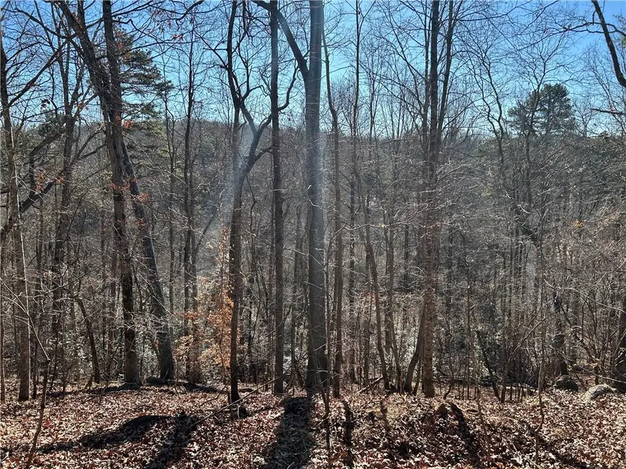 00 Twin River Orchard Road, Demorest, GA 30535 - Image #3