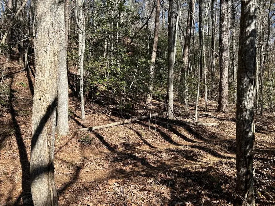 000 Twin River Orchard Road, Demorest, GA 30535 - Image #3