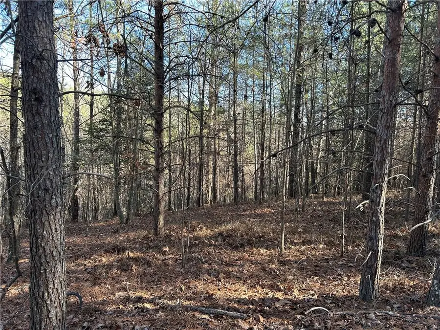 00000 Twin River Orchard Road, Demorest, GA 30535 - Image #2