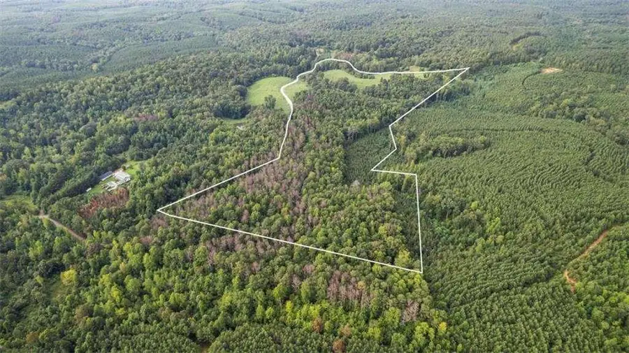 0 Treat Mountain Road, Cedartown, GA 30125 - Image #2