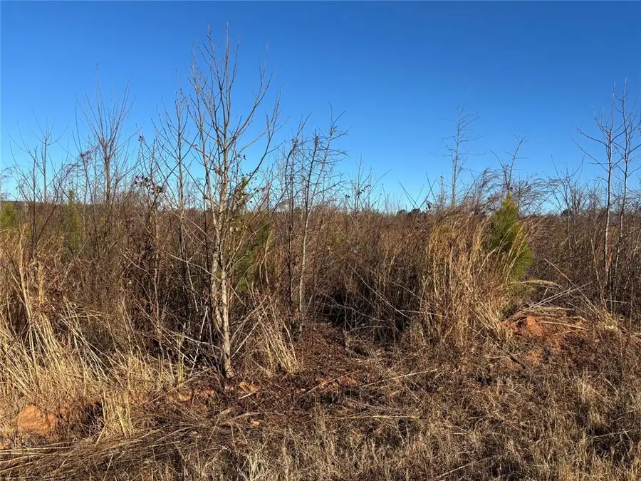 0 State Rte 83 Route, Monroe, GA 30655 - Image #3