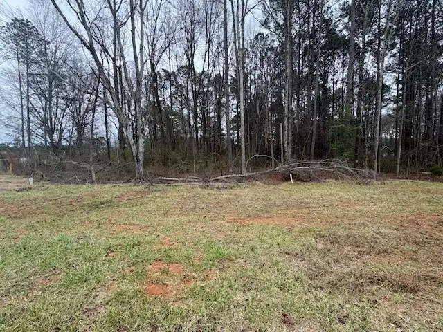 0 Brown Bridge Road, Covington, GA 30016 - #2