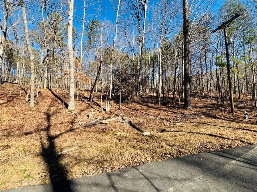 111 Fox Oak Court, Waleska, GA 30183 - #3