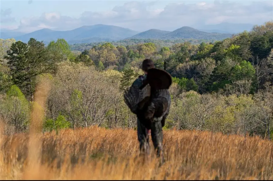 0 Dry Hollow Road, Dahlonega, GA 30533 - #2