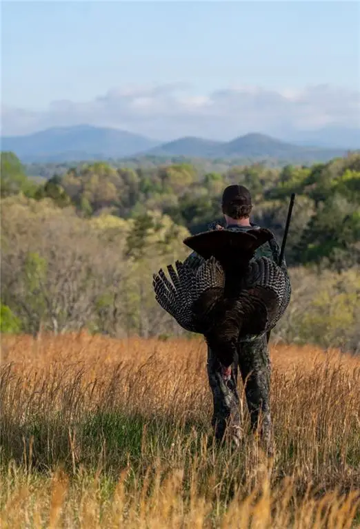 0 Dry Hollow Road, Dahlonega, GA 30533 - #3