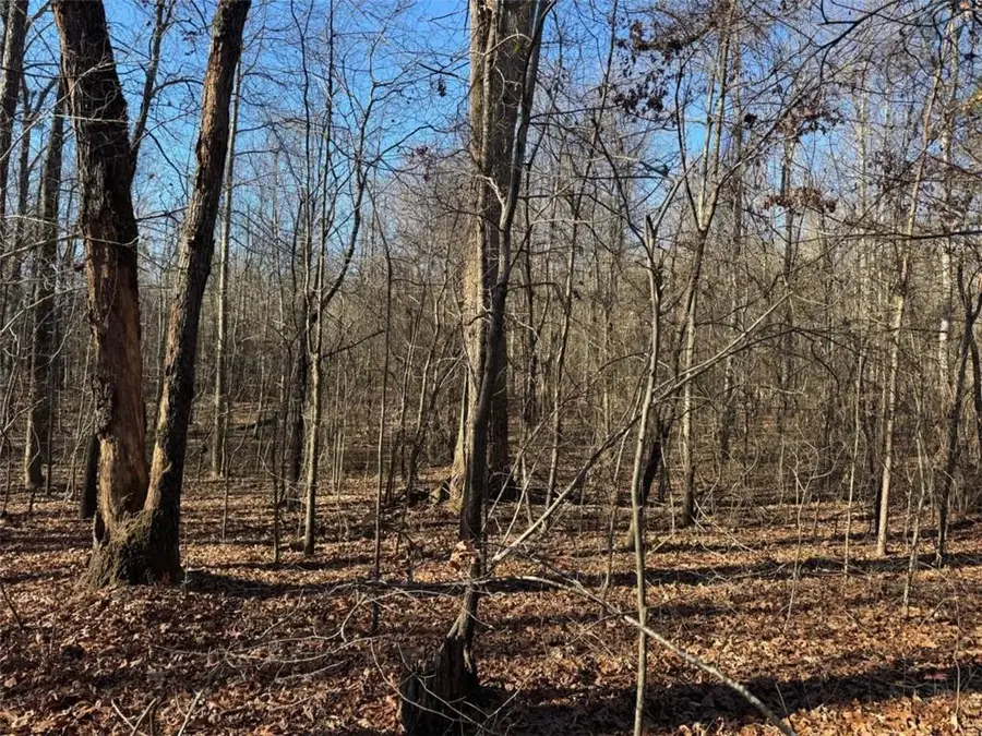 6601 Hog Mountain Hwy - Hwy 53, Bogart, GA 30622 - Image #2