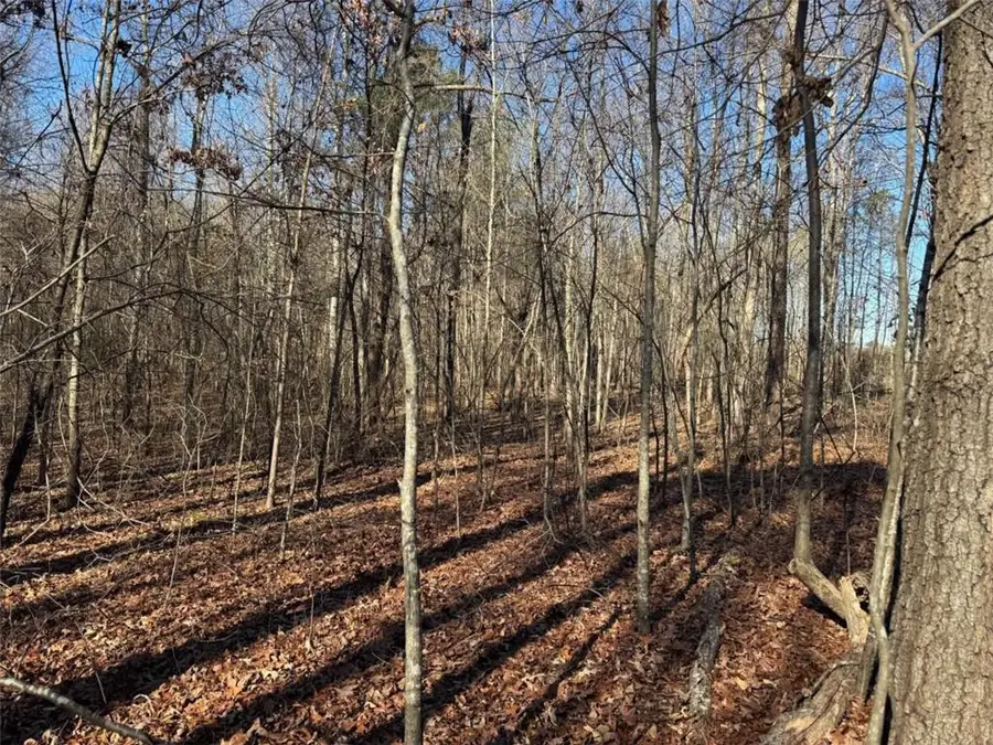 6601 Hog Mountain Hwy - Hwy 53, Bogart, GA 30622 - Image #3