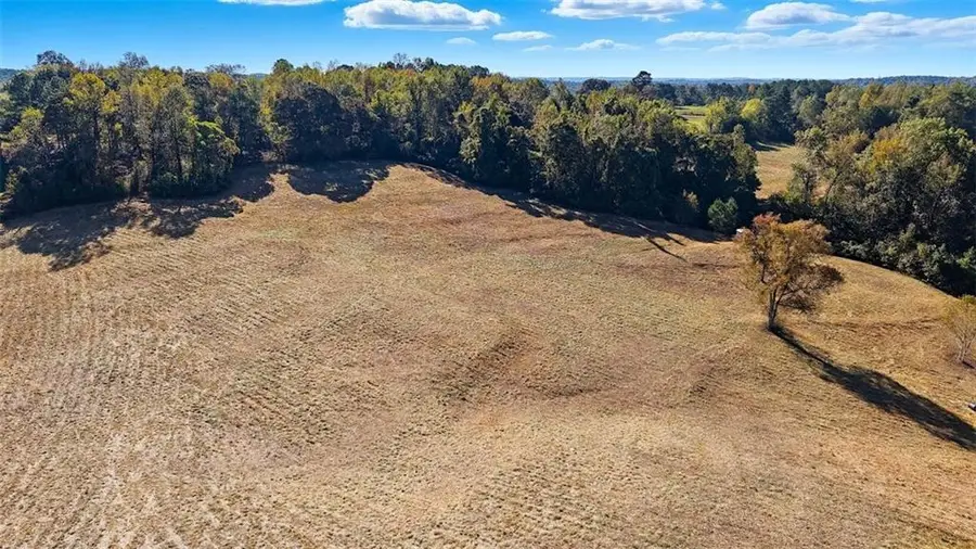 1075 Davis Road, Carrollton, GA 30116 - #3