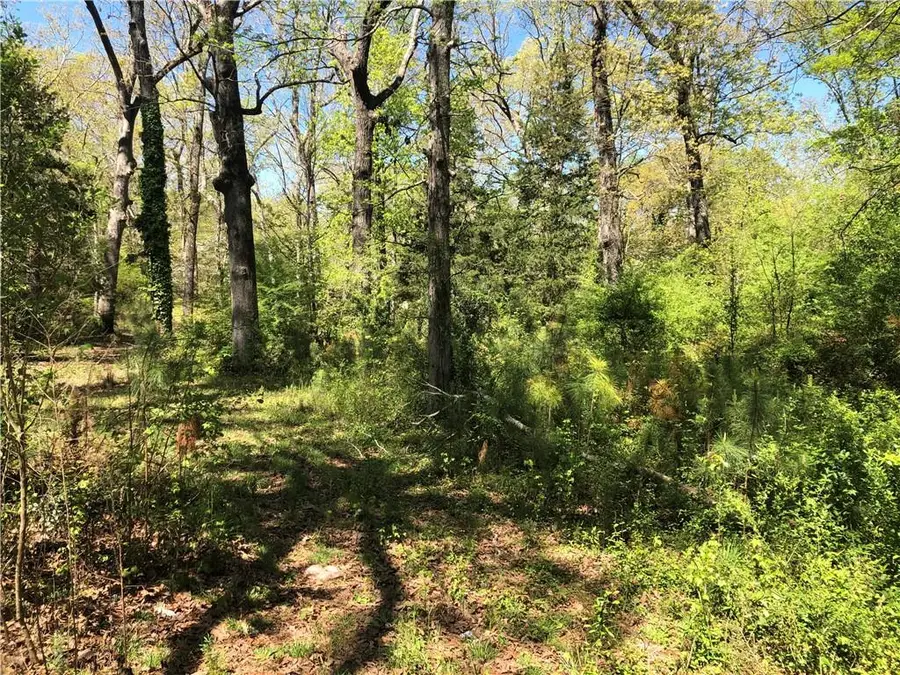 2165 Old Salem Road Se, Conyers, GA 30013 - Image #2