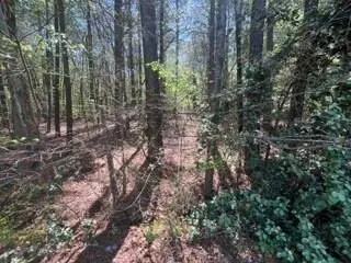 0 Troupe Smith Road Sw, Conyers, GA 30094 - Image #1