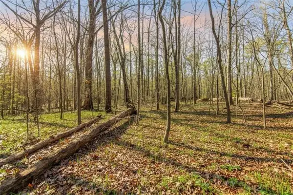 6 ACRE Flat Creek Road, Ellijay, GA 30540