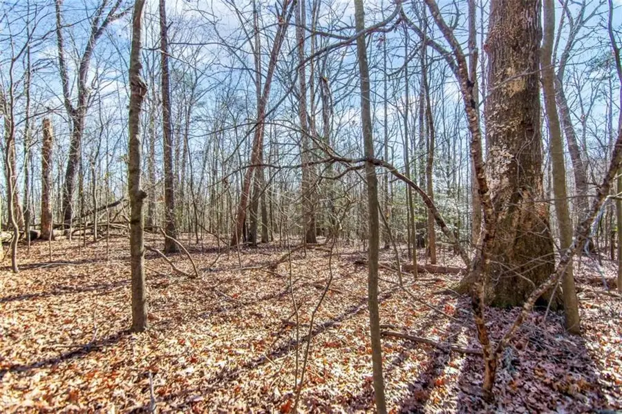 6 ACRE Flat Creek Road, Ellijay, GA 30540 - Image #3