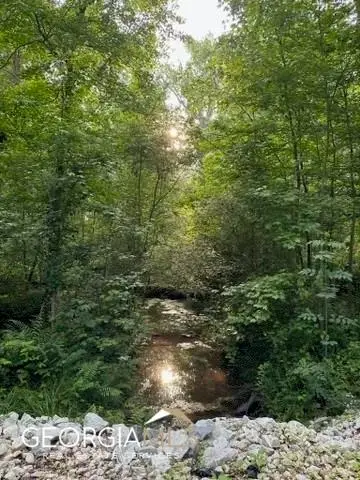 2535b Willow Lane, Social Circle, GA 30025 - #1