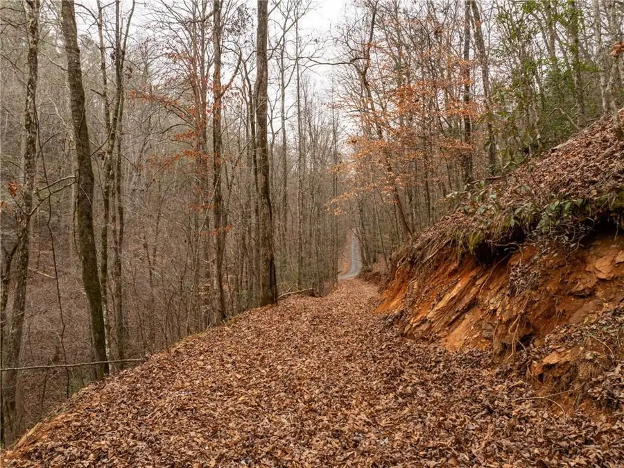 377 Soldiers Path, Dahlonega, GA 30533 - #3